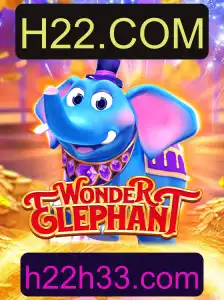 Explorando o Fascinante Mundo de WonderElephant